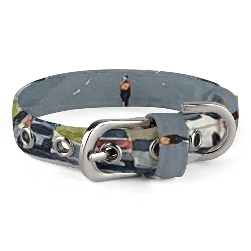 Hundehalsband, niedliches Welpenhalsband, dekoriert, Regenbogen-Hundehalsband für mittelgroße Hunde, kleine Hunde, weiches Katzenhalsband, Haustierhalsband mit verstellbarer Schnalle, 20 - 26 cm von JTKLQBN