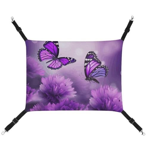 JTKLQBN Hängende Haustier-Hängematte, 42 x 33 cm, violette Blume, Schmetterlinge, bedrucktes Bett, weiche Haustiermatte mit verstellbaren Riemen, atmungsaktive Hängematte für Katzen, Frettchen, kleine JTKLQBN Hängende Haustier-Hängematte, 42 x 33 cm, violette Blume, Schmetterlinge, bedrucktes Bett, weiche Haustiermatte mit verstellbaren Riemen, atmungsaktive Hängematte für Katzen, Frettchen, kleine von JTKLQBN