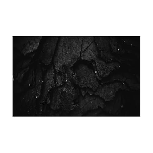 JTKSSCS Aquarium RüCkwand 3D-Effekt Schwarzer Stein Aquarium Hintergrund Poster Felsstein Selbstklebender Fischtank Hintergrund(50x100cm) von JTKSSCS