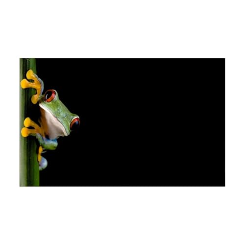 JTKSSCS Aquarium RüCkwand Aquarium Hintergrund Aufkleber Cartoon Frosch Poster Fisch Tank Dekoration Selbst Klebe Tapete Hintergrund(40x80cm) von JTKSSCS