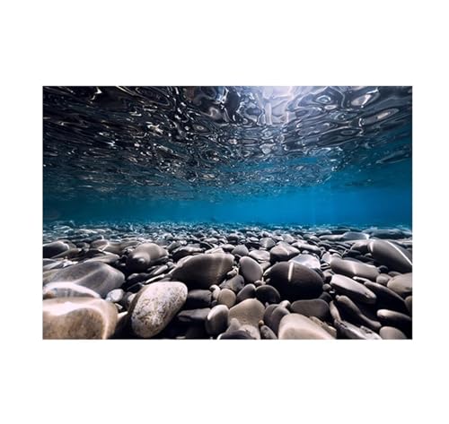 JTKSSCS Aquarium RüCkwand Aquarium Hintergrund Aufkleber Flussboden Stein Tapete Fisch Tank Hintergrund Dekorationen PVC Landschaft Poster(50x80cm) von JTKSSCS