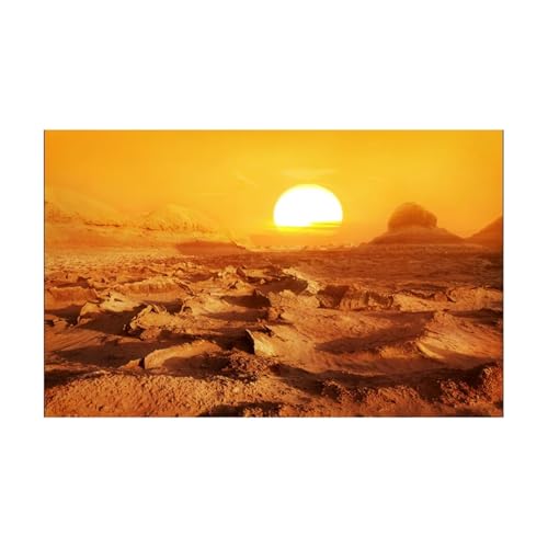 JTKSSCS Aquarium RüCkwand Aquarium Hintergrund Aufkleber Gelb Wüste Poster Fisch Tank Dekoration Selbst Klebe Tapete Hintergrund(41x61cm) von JTKSSCS