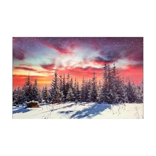 JTKSSCS Aquarium RüCkwand Aquarium Hintergrund Aufkleber Winter Aurora Poster Fisch Tank Dekoration Selbst Klebe Tapete Hintergrund(54x122cm) von JTKSSCS