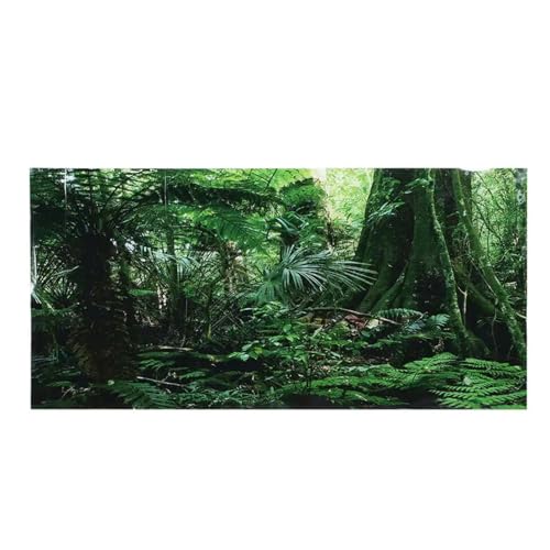 JTKSSCS Aquarium RüCkwand Aquarium Hintergrund Poster Dekoration Aquarium Wand Landschaftsbau Regenwald Terrarium Aquarium Dekorationen(76 x 46cm) von JTKSSCS