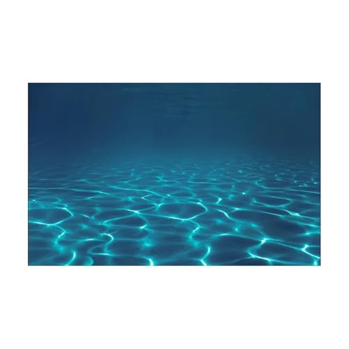JTKSSCS Aquarium RüCkwand Blaue Meereslandschaft Aquarium Aufkleber Hintergrund Poster Felsstein Selbstklebende Fischtank Tapete Hintergrund(54x122cm) von JTKSSCS