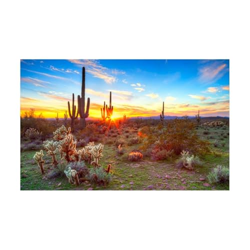 JTKSSCS Aquarium RüCkwand Dekoration Aquarium Hintergrund Ornament Poster Wüstenlandschaft Aquarium Landschaft Selbstklebende Fisch Tank(Color1,54x122cm) von JTKSSCS
