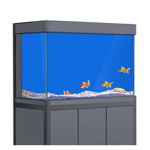 JTKSSCS Aquarium RüCkwand Fisch Tank Hintergrund Gradienten Einfache Druck Tapete Aquarium Hintergrund Dekorationen(Blue2,60x240cm) von JTKSSCS
