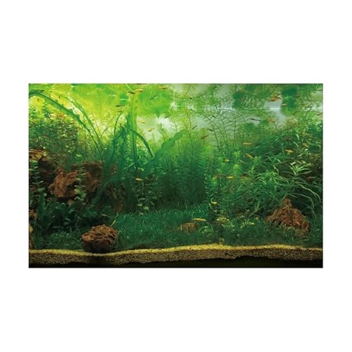 JTKSSCS Aquarium RüCkwand Wald Aufkleber Aquarium Hintergrund Poster Dekoration Fisch Tank Wand Lanscaping Regenwald Terrarium(GREEN4,54x122cm) von JTKSSCS
