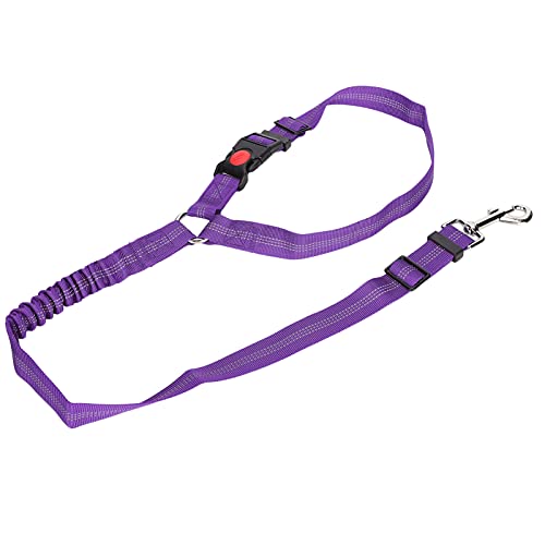 Haustier Verstellbare Kopfstütze Sicherheitsgurt Hund Nylon Reflektierende Sicherheitsgurt Gurt für Auto (Violett) von JTLB