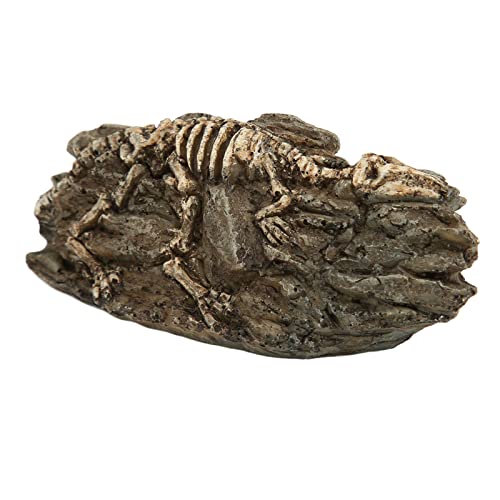 JTLB Fossil Dinosaurier, Dinosaurier Fossil Aquarium Dekoration Harz Reptilien Ornament Aquarium Tier Handwerk für Aquarium Dekor von JTLB