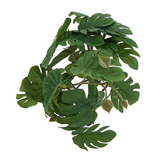 JTLB Reptilien-Terrarium-Dekoration, Kunststoff-Schildkrötenblatt-Rattan-Simulation, Ideal Zur Bereicherung des Lebensraums von Bartagamen, Eidechsen, Geckos und Schlangen JTLB Reptilien-Terrarium-Dekoration, Kunststoff-Schildkrötenblatt-Rattan-Simulation, Ideal Zur Bereicherung des Lebensraums von Bartagamen, Eidechsen, Geckos und Schlangen von JTLB