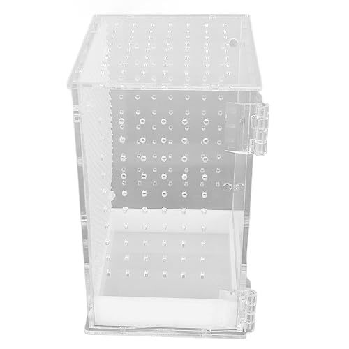 JTLB Reptilien-Zuchtbox, Transparenter Insekten-Habitat-Terrarium-Koffer Spinnen, Insekten, Schnecken, Geckos, Bartagamen, Stabheuschrecken, Gottesanbeterinnen und Andere von JTLB