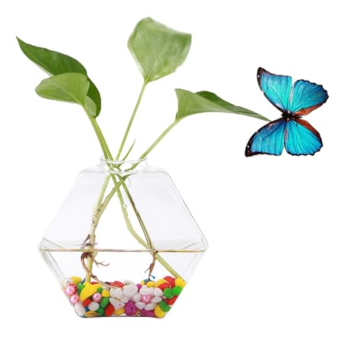 Wandmontierte Glasvase Hydrokulturpflanzen, Hängende Blumenvase, Aquariumbehälter Heimdekoration ﻿ (Verhexen) von JTLB
