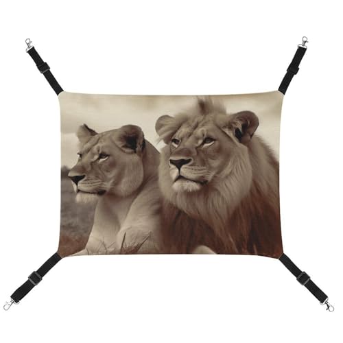 JTREHY Haustier-Hängematte, afrikanischer Löwe und Löwin bedruckt, verstellbar, hängendes Katzenbett für Katzen, kleine Hunde, Kaninchen oder andere Kleintiere, mit Metallhaken von JTREHY