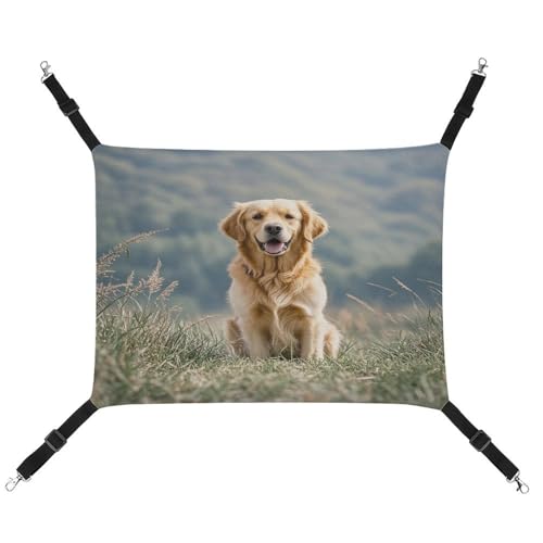 JTREWBV Hängematte, für kleine Tiere, Golden Retriever, Hunde-Druck, hängende Haustier-Hängematte, Käfig-Hängematte mit verstellbaren Riemen und Metallhaken JTREWBV Hängematte, für kleine Tiere, Golden Retriever, Hunde-Druck, hängende Haustier-Hängematte, Käfig-Hängematte mit verstellbaren Riemen und Metallhaken von JTREWBV