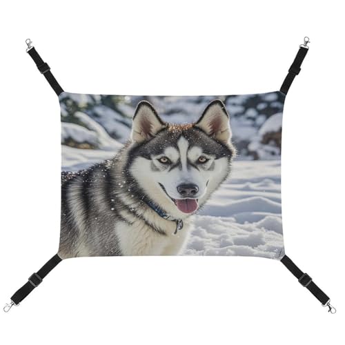 JTREWBV Hängematte, für kleine Tiere, Wildgrau, Wolf-Druck, Hängematte, Käfig-Hängematte mit verstellbaren Riemen und Metallhaken JTREWBV Hängematte, für kleine Tiere, Wildgrau, Wolf-Druck, Hängematte, Käfig-Hängematte mit verstellbaren Riemen und Metallhaken von JTREWBV