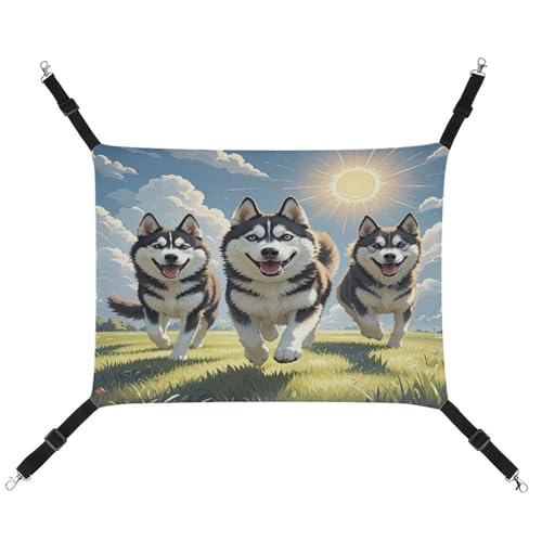 JTREWBV Hängematte, für kleine Tiere, mit Hundemotiv, mit verstellbaren Riemen und Metallhaken JTREWBV Hängematte, für kleine Tiere, mit Hundemotiv, mit verstellbaren Riemen und Metallhaken von JTREWBV