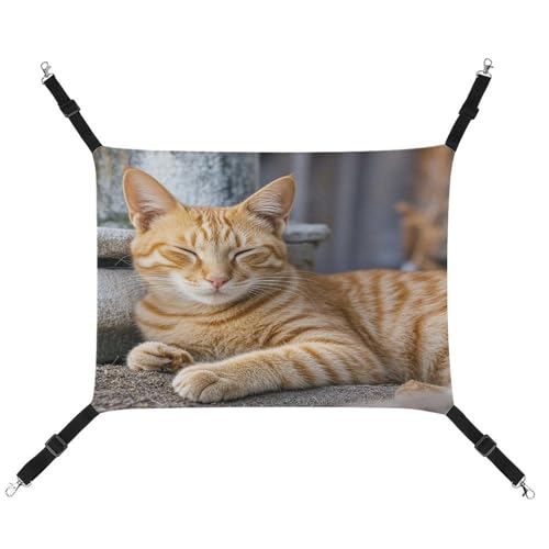 JTREWBV Hängematte, kleine Tiere, orangefarbene Katze, schlafender Druck, hängende Haustier-Hängematte, Käfig-Hängematte mit verstellbaren Riemen und Metallhaken JTREWBV Hängematte, kleine Tiere, orangefarbene Katze, schlafender Druck, hängende Haustier-Hängematte, Käfig-Hängematte mit verstellbaren Riemen und Metallhaken von JTREWBV