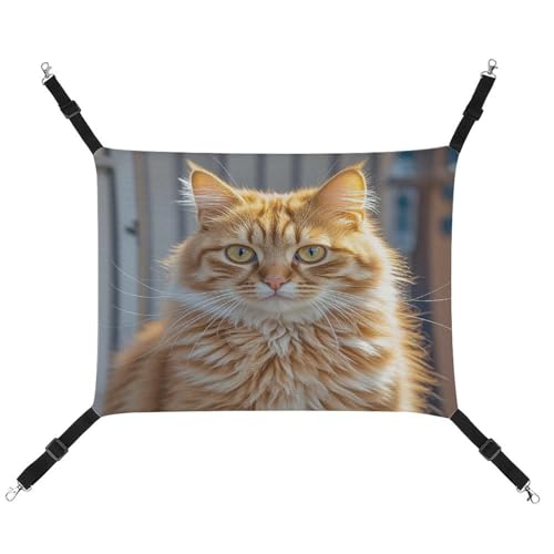 JTREWBV Hängematte für kleine Tiere, orangefarbener Katzen-Druck, hängende Haustier-Hängematten, Käfig-Hängematte mit verstellbaren Riemen und Metallhaken JTREWBV Hängematte für kleine Tiere, orangefarbener Katzen-Druck, hängende Haustier-Hängematten, Käfig-Hängematte mit verstellbaren Riemen und Metallhaken von JTREWBV