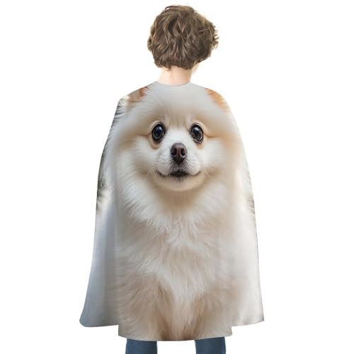 JTREWBV Halloween-Weihnachtsumhang, niedlicher Zwergspitz-Hunde-Druck, Partyumhang, Cosplay-Umhang für Party, Superhelden-Kostüm JTREWBV Halloween-Weihnachtsumhang, niedlicher Zwergspitz-Hunde-Druck, Partyumhang, Cosplay-Umhang für Party, Superhelden-Kostüm von JTREWBV
