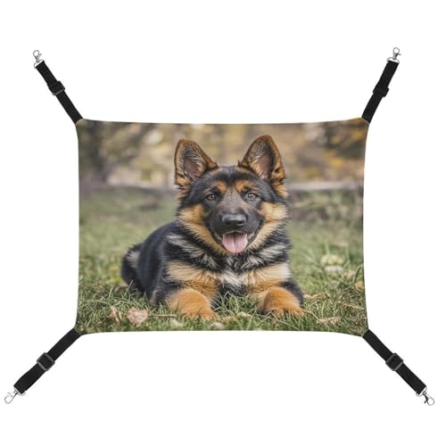 JTREWBV Kleine Tierhängematte, Schäferhund, Hängematte, Käfig-Hängematte mit verstellbaren Riemen und Metallhaken JTREWBV Kleine Tierhängematte, Schäferhund, Hängematte, Käfig-Hängematte mit verstellbaren Riemen und Metallhaken von JTREWBV