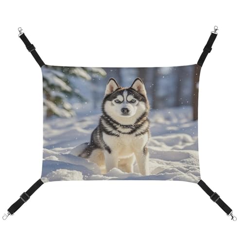 JTREWBV Kleine Tierhängematte, Wolf im Schnee, bedruckt, Hängematte, Käfig-Hängematte mit verstellbaren Riemen und Metallhaken JTREWBV Kleine Tierhängematte, Wolf im Schnee, bedruckt, Hängematte, Käfig-Hängematte mit verstellbaren Riemen und Metallhaken von JTREWBV