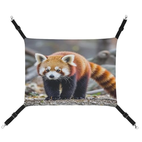 JTREWBV Kleine Tierhängematte, kleiner roter Panda, Tierdruck, hängende Haustier-Hängematte, Käfig-Hängematte mit verstellbaren Riemen und Metallhaken von JTREWBV
