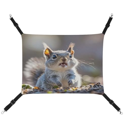 JTREWBV Kleine Tierhängematte, lustiger niedlicher Eichhörnchen-Druck, hängende Haustier-Hängematte, Käfig-Hängematte mit verstellbaren Riemen und Metallhaken JTREWBV Kleine Tierhängematte, lustiger niedlicher Eichhörnchen-Druck, hängende Haustier-Hängematte, Käfig-Hängematte mit verstellbaren Riemen und Metallhaken von JTREWBV