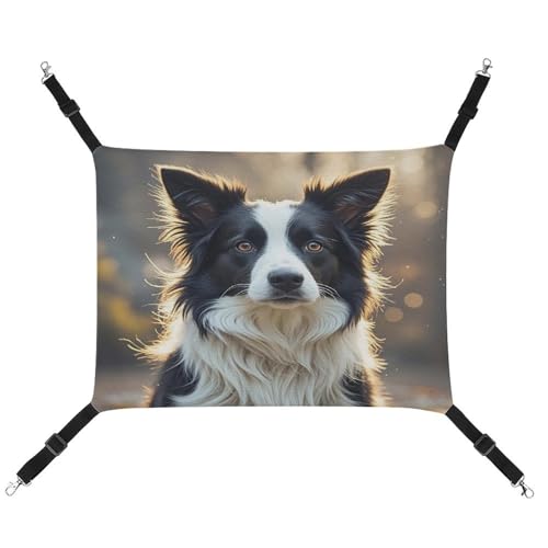 JTREWBV Kleine Tierhängematte, niedlicher Border Collie-Druck, hängende Haustier-Hängematten, Käfig-Hängematte mit verstellbaren Riemen und Metallhaken JTREWBV Kleine Tierhängematte, niedlicher Border Collie-Druck, hängende Haustier-Hängematten, Käfig-Hängematte mit verstellbaren Riemen und Metallhaken von JTREWBV