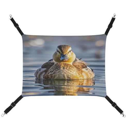 JTREWBV Kleine Tierhängematte, niedlicher Loon-Vogel-Druck, hängende Haustier-Hängematte, Käfig-Hängematte mit verstellbaren Riemen und Metallhaken JTREWBV Kleine Tierhängematte, niedlicher Loon-Vogel-Druck, hängende Haustier-Hängematte, Käfig-Hängematte mit verstellbaren Riemen und Metallhaken von JTREWBV