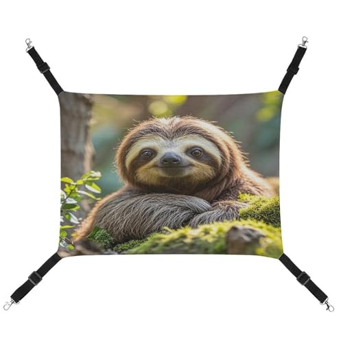 JTREWBV Kleine Tierhängematte, niedlicher lustiger Faultier-Druck, hängende Haustier-Hängematte, Käfig-Hängematte mit verstellbaren Riemen und Metallhaken JTREWBV Kleine Tierhängematte, niedlicher lustiger Faultier-Druck, hängende Haustier-Hängematte, Käfig-Hängematte mit verstellbaren Riemen und Metallhaken von JTREWBV