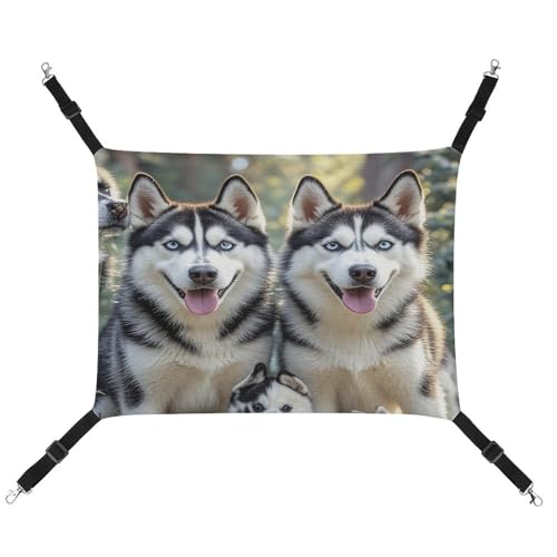 JTREWBV Kleine Tierhängematte mit Aufdruck Hund im Wald, mit verstellbaren Riemen und Metallhaken JTREWBV Kleine Tierhängematte mit Aufdruck Hund im Wald, mit verstellbaren Riemen und Metallhaken von JTREWBV