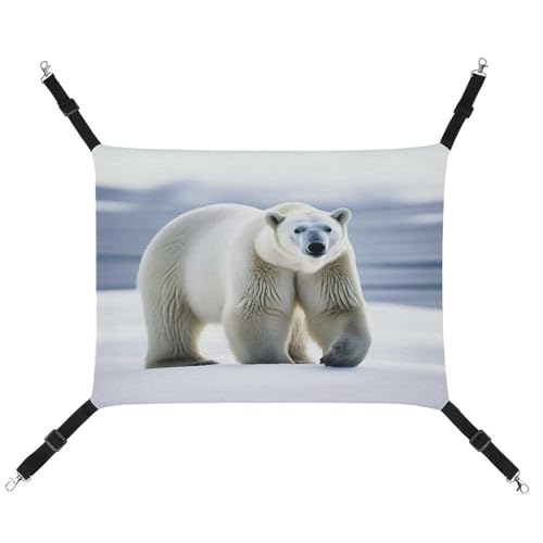 JTREWBV Kleine Tierhängematte mit Eisbär-Druck, hängende Haustier-Hängematten, Käfig-Hängematte mit verstellbaren Riemen und Metallhaken JTREWBV Kleine Tierhängematte mit Eisbär-Druck, hängende Haustier-Hängematten, Käfig-Hängematte mit verstellbaren Riemen und Metallhaken von JTREWBV