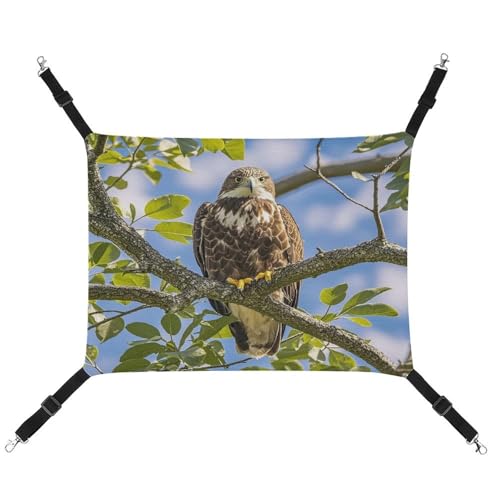 JTREWBV Kleine Tierhängematte mit Eulen-Druck, hängende Haustier-Hängematte, Käfig-Hängematte mit verstellbaren Riemen und Metallhaken JTREWBV Kleine Tierhängematte mit Eulen-Druck, hängende Haustier-Hängematte, Käfig-Hängematte mit verstellbaren Riemen und Metallhaken von JTREWBV