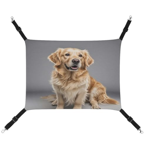 JTREWBV Kleine Tierhängematte mit Golden Retriever-Druck, hängende Haustier-Hängematten, Käfig-Hängematte mit verstellbaren Riemen und Metallhaken JTREWBV Kleine Tierhängematte mit Golden Retriever-Druck, hängende Haustier-Hängematten, Käfig-Hängematte mit verstellbaren Riemen und Metallhaken von JTREWBV