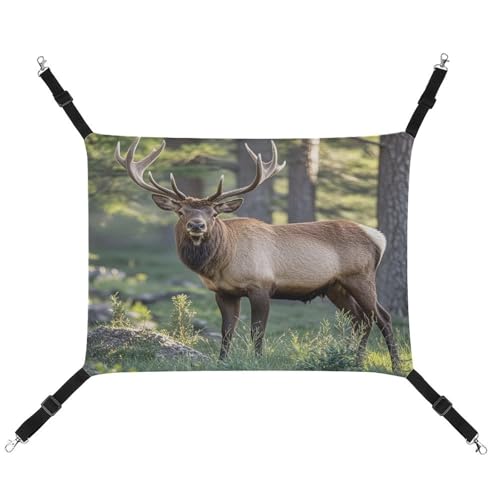 JTREWBV Kleine Tierhängematte mit Hirsch in der Wildnis bedruckt, hängende Haustierhängematten, Käfig-Hängematte mit verstellbaren Riemen und Metallhaken JTREWBV Kleine Tierhängematte mit Hirsch in der Wildnis bedruckt, hängende Haustierhängematten, Käfig-Hängematte mit verstellbaren Riemen und Metallhaken von JTREWBV
