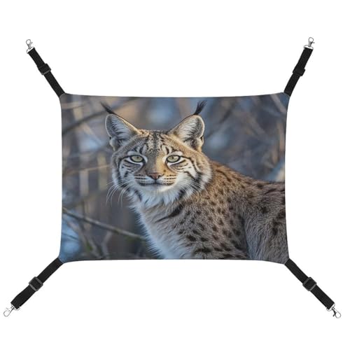 JTREWBV Kleine Tierhängematte mit Wildbobcat-Druck, hängende Haustier-Hängematten, Käfig-Hängematte mit verstellbaren Riemen und Metallhaken JTREWBV Kleine Tierhängematte mit Wildbobcat-Druck, hängende Haustier-Hängematten, Käfig-Hängematte mit verstellbaren Riemen und Metallhaken von JTREWBV
