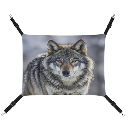 JTREWBV Kleine Tierhängematte mit Wolfsdruck, Hängematte, Käfig-Hängematte mit verstellbaren Riemen und Metallhaken JTREWBV Kleine Tierhängematte mit Wolfsdruck, Hängematte, Käfig-Hängematte mit verstellbaren Riemen und Metallhaken von JTREWBV
