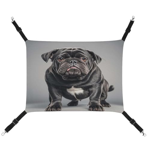 JTREWBV Kleine Tierhängematte mit englischen Bulldoggen, bedruckt, Hängematte, Käfig-Hängematte mit verstellbaren Riemen und Metallhaken JTREWBV Kleine Tierhängematte mit englischen Bulldoggen, bedruckt, Hängematte, Käfig-Hängematte mit verstellbaren Riemen und Metallhaken von JTREWBV