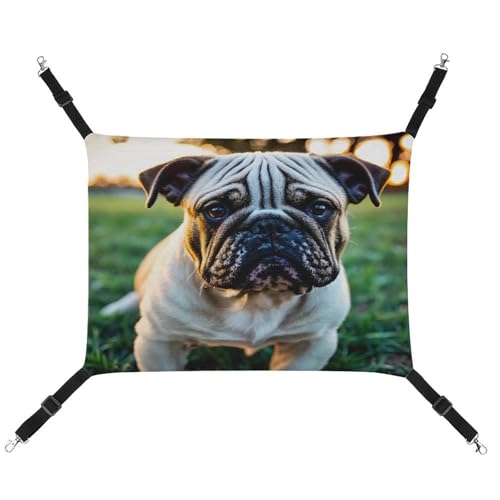 JTREWBV Kleine Tierhängematte mit englischen Bulldoggen, bedruckt, Hängematte, Käfig-Hängematte mit verstellbaren Riemen und Metallhaken JTREWBV Kleine Tierhängematte mit englischen Bulldoggen, bedruckt, Hängematte, Käfig-Hängematte mit verstellbaren Riemen und Metallhaken von JTREWBV