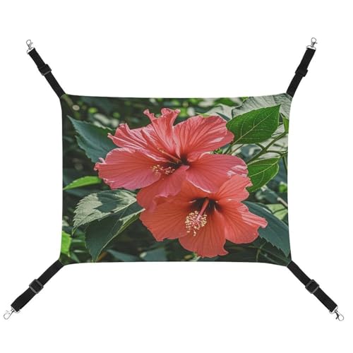 JTREWBV Kleine Tierhängematte mit rotem Hibiskus-Druck, Hängematte, Käfig-Hängematte mit verstellbaren Riemen und Metallhaken JTREWBV Kleine Tierhängematte mit rotem Hibiskus-Druck, Hängematte, Käfig-Hängematte mit verstellbaren Riemen und Metallhaken von JTREWBV
