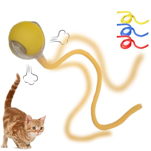 Interaktives Katzenspielzeug für Indoor-Katzen – Katzenspielzeug interaktiv für Indoor-Katzen | Schnelles Rollen und bewegungsaktiviertes Zwitschern | Verstecken und Suchen der Maus | Stimuliert den Interaktives Katzenspielzeug für Indoor-Katzen – Katzenspielzeug interaktiv für Indoor-Katzen | Schnelles Rollen und bewegungsaktiviertes Zwitschern | Verstecken und Suchen der Maus | Stimuliert den von JUBAOREE