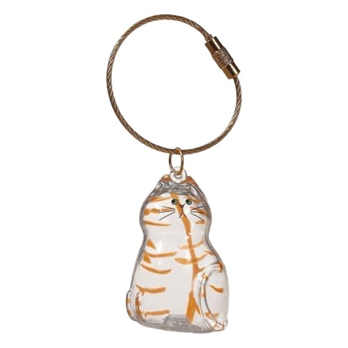 JUCHRZEY Katze Haar Schlüsselanhänger, Katze Haar Schlüsselanhänger, Transparente Acryl Katze Haar Aufbewahrungsbox Anhänger, Katzen Anhänger Schlüsselring, Haustier Haare Erinnerungsbox (Stil F) von JUCHRZEY