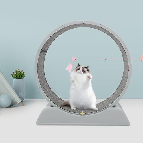 Katzenlaufrad für Indoor-Katze, Ultraleises Sicherheits-Trainingsspielzeug, Katzen Laufrad, für Kleines Mittel Großes Katze Fitness-Gewichtsverlust-Gerät, Grau Katzenlaufrad für Indoor-Katze, Ultraleises Sicherheits-Trainingsspielzeug, Katzen Laufrad, für Kleines Mittel Großes Katze Fitness-Gewichtsverlust-Gerät, Grau von JUDEMII