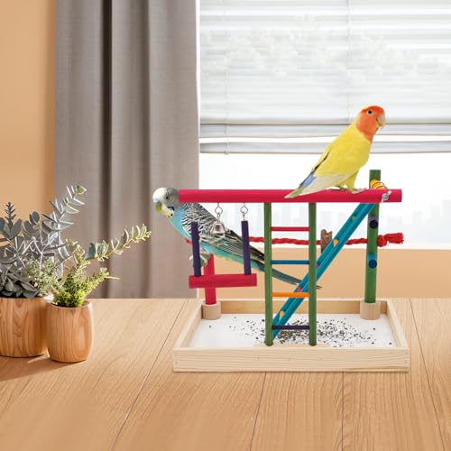Wellensittich Spielplatz, Vogelspielplatz aus Holz, Spielständer mit Spielzeug Leiter Erklimmen Schaukel für Papageien,Cockatiels,Kegel,Finken,Nymphensittiche, Aras Wellensittich Spielplatz, Vogelspielplatz aus Holz, Spielständer mit Spielzeug Leiter Erklimmen Schaukel für Papageien,Cockatiels,Kegel,Finken,Nymphensittiche, Aras von JUDEMII