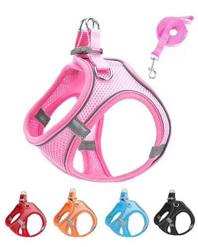 JUFOO XXS Hundegeschirr und Leine, weiches Netzgewebe, kein Entkommen, leichtes Gehen, Welpengeschirr für Training, Spazierengehen, reflektierend, verstellbare Welpenweste für kleine, mittelgroße JUFOO XXS Hundegeschirr und Leine, weiches Netzgewebe, kein Entkommen, leichtes Gehen, Welpengeschirr für Training, Spazierengehen, reflektierend, verstellbare Welpenweste für kleine, mittelgroße von JUFOO