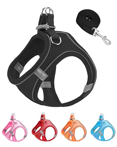 JUFOO XXXS Hundegeschirr und Leine, weiches Netzgewebe, kein Entkommen, leichtes Gehen, Welpengeschirr für Training, Spazierengehen, reflektierend, verstellbare Welpenweste für kleine, mittelgroße JUFOO XXXS Hundegeschirr und Leine, weiches Netzgewebe, kein Entkommen, leichtes Gehen, Welpengeschirr für Training, Spazierengehen, reflektierend, verstellbare Welpenweste für kleine, mittelgroße von JUFOO