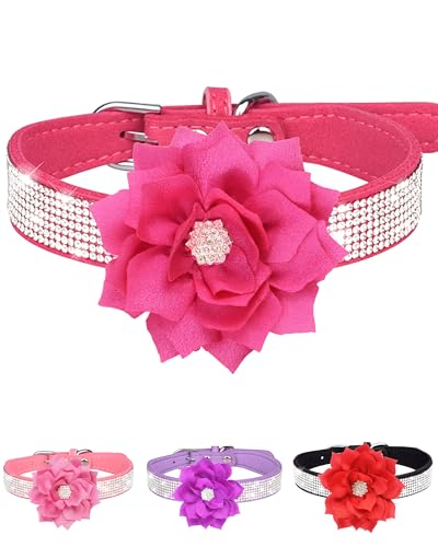 Jufoo Strass-Hundehalsband für kleine und mittelgroße Hunde, Rot, XS, Hundehalsband für Mädchen, Hündinnen, Blume, Welpenhalsband für Sommer, Frühling, Hochzeit, Welpen, Halskette, Jufoo Strass-Hundehalsband für kleine und mittelgroße Hunde, Rot, XS, Hundehalsband für Mädchen, Hündinnen, Blume, Welpenhalsband für Sommer, Frühling, Hochzeit, Welpen, Halskette, von JUFOO