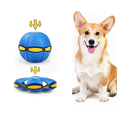 JUJNE Fliegende Untertasse Ball Hundespielzeug, Fliegender Ball Kreative Dekomprimierung Hundeball UnzerstöRbar, Interaktives Hundespielzeug,Blue-1PC von JUJNE