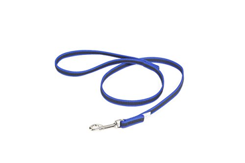 IDC Color & Gray gumierte Leine, 14 mm x 1 m mit Schlaufe, Blau-Grau IDC Color & Gray gumierte Leine, 14 mm x 1 m mit Schlaufe, Blau-Grau von JULIUS K-9